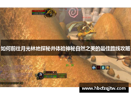 如何前往月光林地探秘并体验神秘自然之美的最佳路线攻略