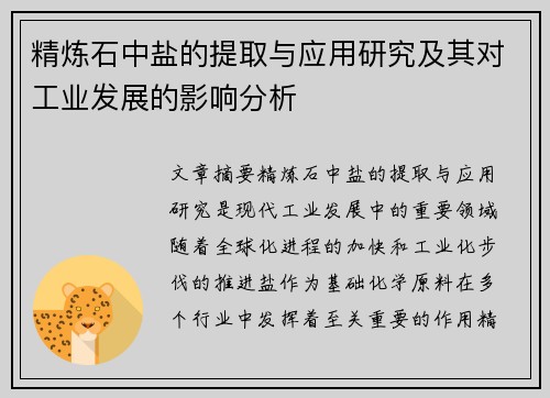 精炼石中盐的提取与应用研究及其对工业发展的影响分析